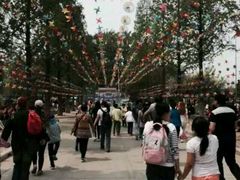 android_upload_pic-北戴河集发农业梦想王国