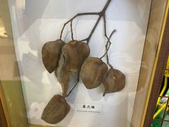 -武汉荟聚