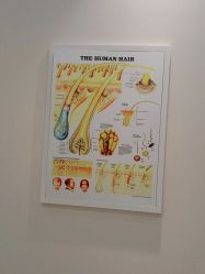 -雍禾植发全国连锁