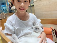 -藏猫猫咖啡主题馆(中央大道店)