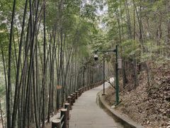 -敬亭山风景名胜区