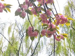 -城市运动公园(未央区)