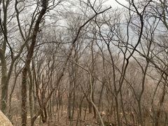 -紫金山索道-售票处