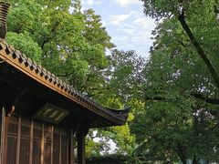 -杭州西湖柳莺里酒店