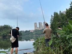 -重庆彩云湖湿地公园