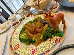 葱烧鹿蹄筋-鹿鸣春饭店(总店)
