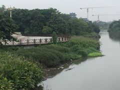 -海珠湖公园