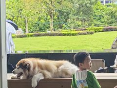 -SAANCI山池咖啡(海上世界文化艺术中心店)