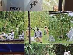 -泗洪洪泽湖湿地景区