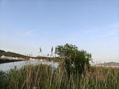 -蠡湖大桥公园