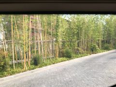 -水月周庄铂尔曼酒店-水月荟中餐厅