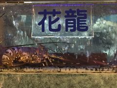 -垦丁辉哥生鱼片