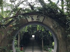 -广西壮族自治区药用植物园