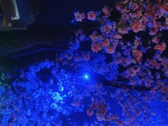 -荷塘秋月·本帮江浙菜(国权路店)