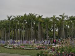 -深圳国际园林花卉博览园