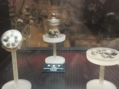 -河姆渡遗址博物馆