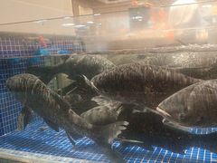 -高佳庄·舟山海鲜(海景旗舰店)