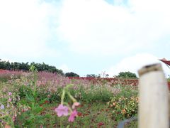 -东部华侨城