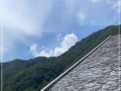-牛背梁国家森林公园