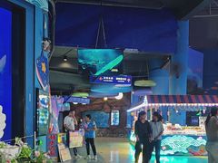 -烟台海昌鲸鲨海洋公园