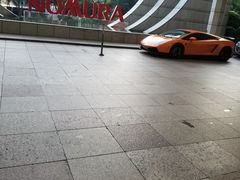 -新加坡丽思卡尔顿美年酒店