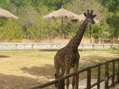 -北京野生动物园