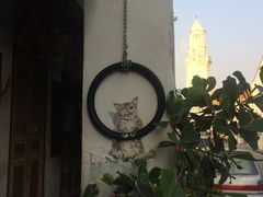 -槟城街头艺术街区