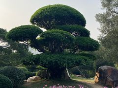 -南宁南湖公园