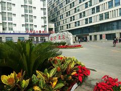 -首都医科大学附属北京潞河医院