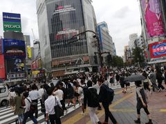 -涩谷全向十字路口