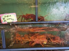 -阿兴生鱼片(大光路店)