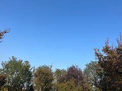 -汉长安城未央宫国家考古遗址公园