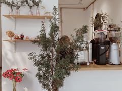 -怪 kafe.