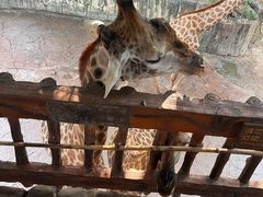 -长鹿旅游休博园
