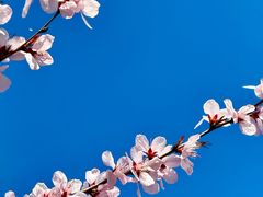 -三里河公园
