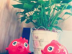 景观位-小团圆糖水铺(襄阳南路店)