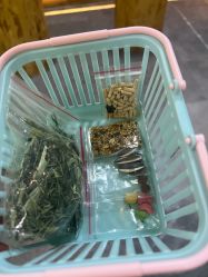 -神奇动物撸宠馆·羊驼·小浣熊·异宠(豫园店)