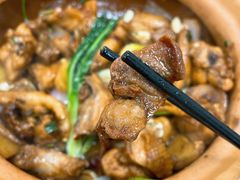 -广宁炭炉鸡煲·富临门饭店