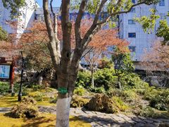 -常州古运河南大街文化旅游区-人民公园