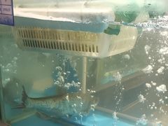 -丹江渔村(首都机场店)