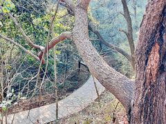 -敬亭山风景名胜区