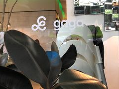 -gaga(深圳南山益田假日广场店)