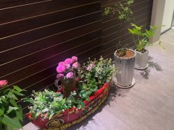 -Your Yoga Pilates·瑜伽普拉提习练室