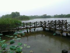 -梁鸿国家湿地公园