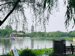 -西海子公园