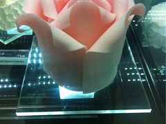 -BLACKSWAN黑天鹅(环球店)