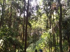 -窦圌山风景区