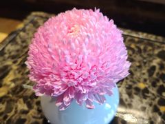 -丽晶轩中餐厅(重庆丽晶酒店)