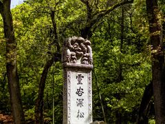 -灵谷景区
