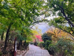 -青岛崂山太清宫